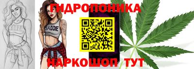 мдпв Пугачёв