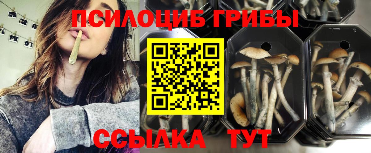 Галлюциногенные грибы ЛСД  Вход с VPN  Новосибирск  Псилоцибиновые грибы MAGIC MUSHROOMS 